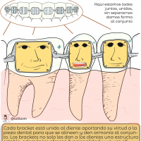 Somos brackets del sistema sanitario-01-min